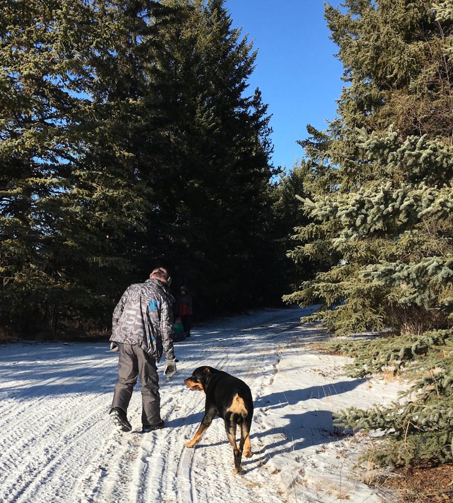 kid with dog