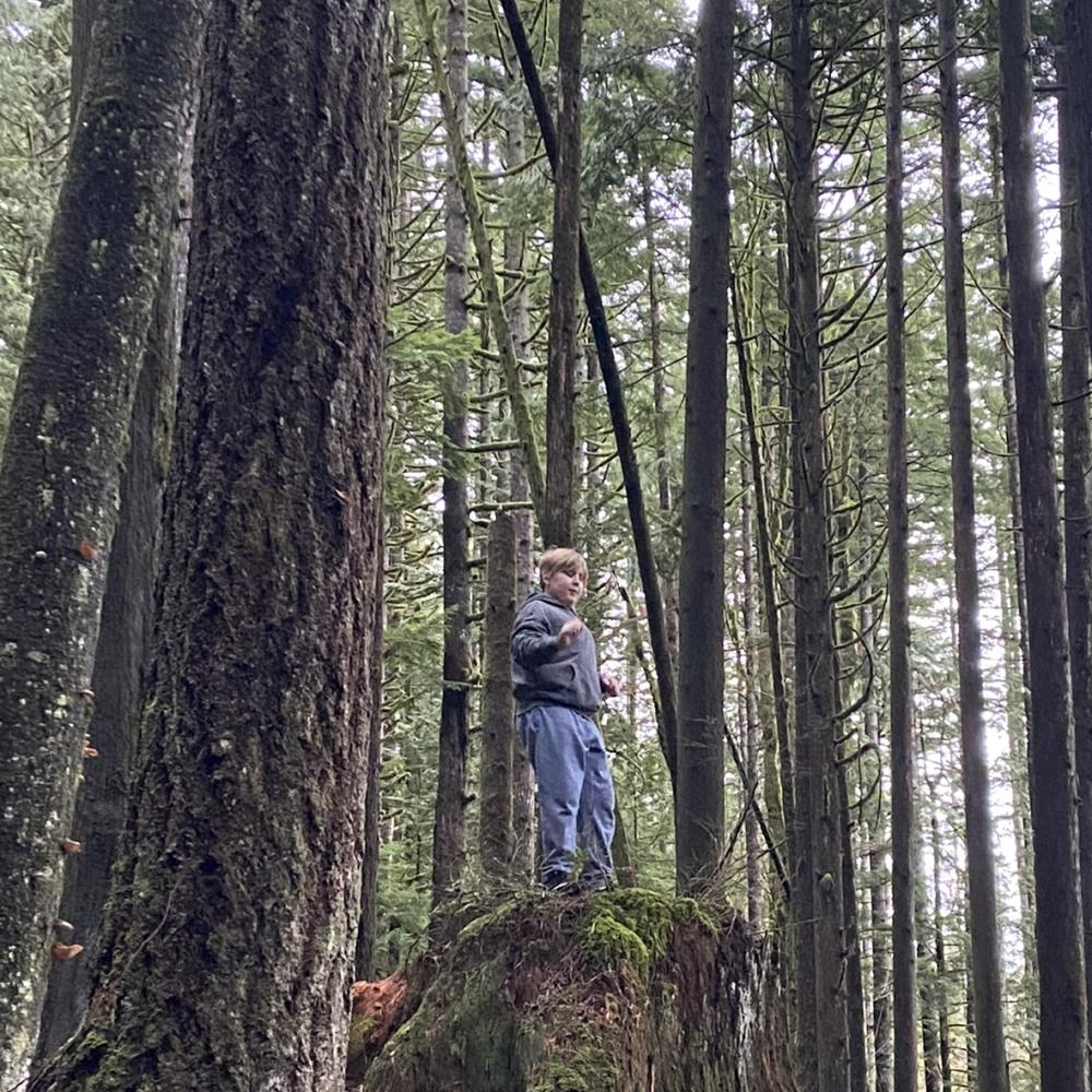 Child in forest